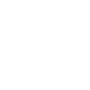 Wels Japanese
