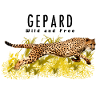 gepard
