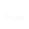 Segelfliegen und Segelflieger