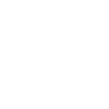 Tournesol - Dessin à l’encre