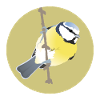 Blue Tit