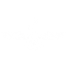 Faravahar Symbole Iran Persan Spirituel
