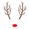 Reindeer