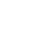 Havanese Heartbeat