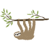 Sloth hanging around
