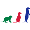 Meerkat three vector