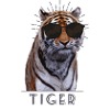 Tigre a lunettes de soleil