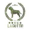 lagottoarmy