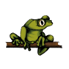 Frosch-Shirt