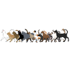 12 cats go hinterein