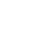 Dessin d'une rose blanche