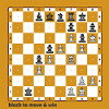 World Chess Championship