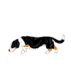 Dreeveri Dreeveri 2