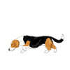 Dreeveri Dreeveri