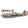 Hawk 75