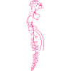 Blume