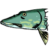 pike