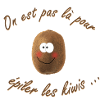 kiwi