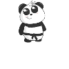 Panda Karate Master