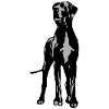 Dogge Dino 2 farb