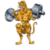 Tiger squat