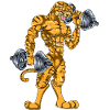 Tiger biceps