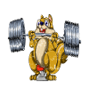 Squirrel bench press