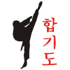 Hapkido Kick