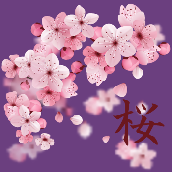 T-shirt Sakura : Fleurs de Cerisier Japonaises