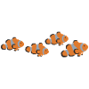 Clownfisch swarm