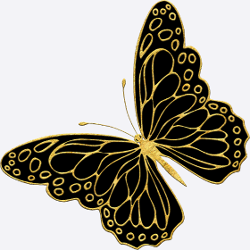 Motif Papillon Élégant personnalisé sur vêtement