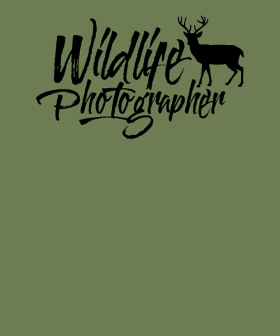 Exprimez votre amour pour la nature et la photographie avec ce design 'Wildlife Photographer'. Parfait pour les aventuriers et les passionné...