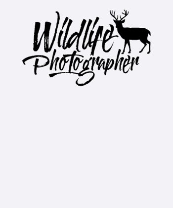 Abenteuer Fotograf Natur Wildtierfotograf Kamera