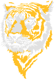 Motif tigre