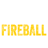 I cast Fireball Wizard Sorcerer DM Gift TTRPG