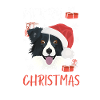Border Collie Noël