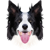 Polyart Border Collie
