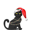 Black Christmas Cat