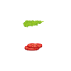 Salade Tomate Oignon