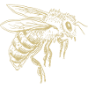 Bee - Beekeeper