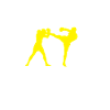 MMA Fighter