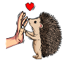 Igel Liebe Damen Kinder Kinder