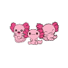 Axolotl Boy Bare en dreng, der elsker axolotls