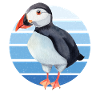 Puffin Parrot Lunde Bird Gift