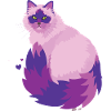 chat rose mignon