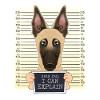 Malinois Dad I Mechelaar Dad I Dad I Can Explain