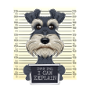 Funny Miniature Schnauzer Dad I Schnauzer