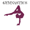 Gymnastics Gymnastics Artistic Gymnastics