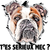 bouledogue, t'es sérieux mec ?