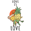 Pizza Hawaii Ananas Pizza Nourriture